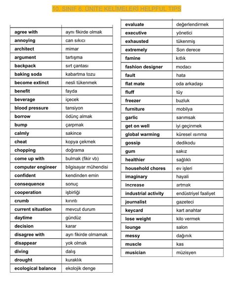 10 sınıf ingilizce 5 ünite kelimeleri ve anlamları